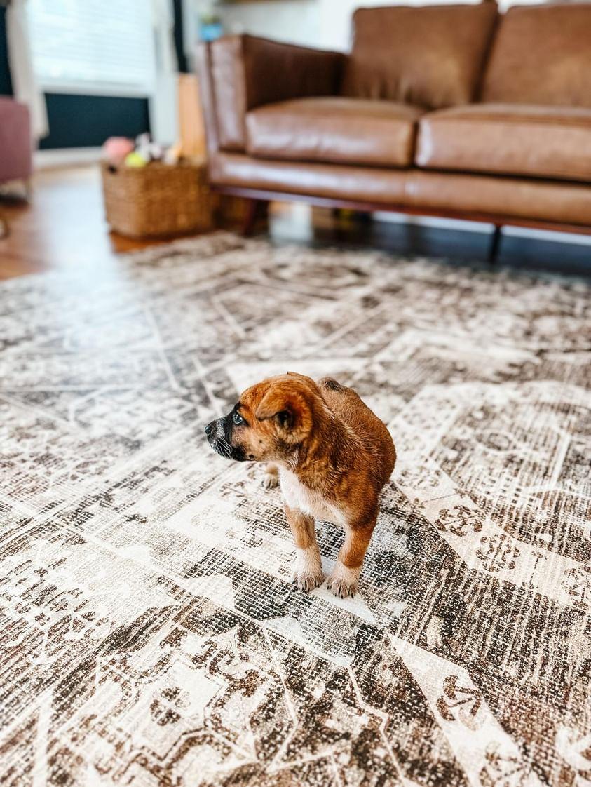 Ranch Vinyl Mat - Image 3